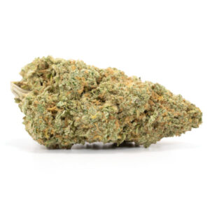 Candy Jack Sativa Strain
