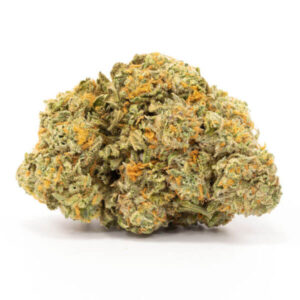 Quantum Kush Sativa Strain