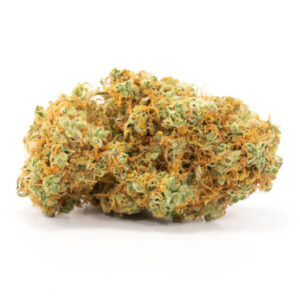 Red Congolese Sativa Strain