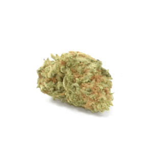 Sour Amnesia Sativa Strain