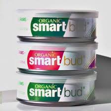 Smart Buds