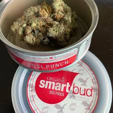 Mimosa Smart Buds