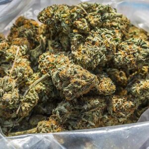 Buy Weed In Bulk